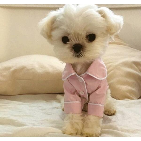 犬 服 ペット ウェア 犬パジャマ シャツ 通気性 涼しい さらさら 猫 寝間着 睡眠 眠り 春 夏 秋 冬 軽い 軽量 ペット用品 便利 いぬ ねこ Dog Ca 0007 マックス ペット用品 通販 Yahoo ショッピング