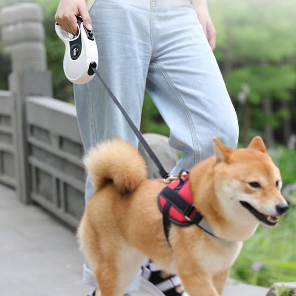 犬 散歩ペット グッズ 伸縮 リード 伸びる 丈夫 自動 巻き取り 伸縮性 猫 長い 3m 5m 春 夏 秋 冬 軽い 軽量 ペット用品 便利 いぬ ねこ Dog Cat 0501 マックス ペット用品 通販 Yahoo ショッピング
