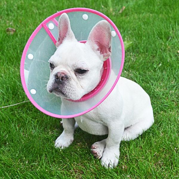 犬 介護 ケア ペット グッズ エリザベス カラー エリカラ ドーナツ ドーナッツ メガホン 怪我 ケガ 去勢 避妊 手術後 療養 傷口 皮膚病 炎症 治 0502 マックス ペット用品 通販 Yahoo ショッピング