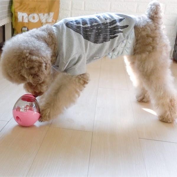 犬 食事ペット グッズ 留守番 おやつ ボール おもちゃ 知育 えさ 早食い ダイエット 猫 知育玩具 1人遊び 転がる しつけ 運動不足 動く 餌 ジャ 0505 Crafters Market 通販 Yahoo ショッピング
