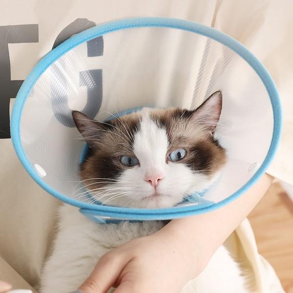 猫 エリザベスカラー ネコ用 カラー ソフト 犬 エリザベス 怪我 術後