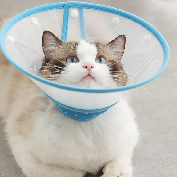 猫 エリザベスカラー ネコ用 カラー ソフト 犬 エリザベス 怪我 術後
