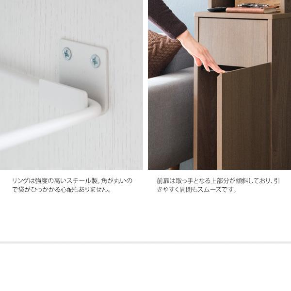 ゴミ箱 ごみ箱 ダストボックス 45L 収納付き 2連 2段 くず入れ ふた