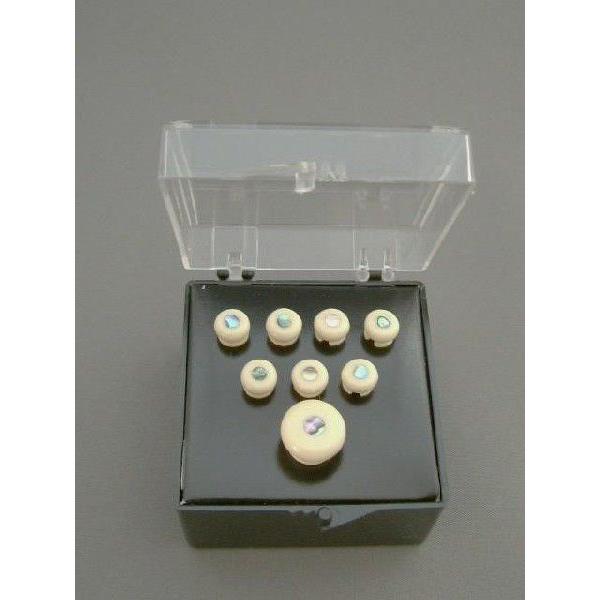 Martin(マーティン)純正 ブリッジピン/エンドピンセット