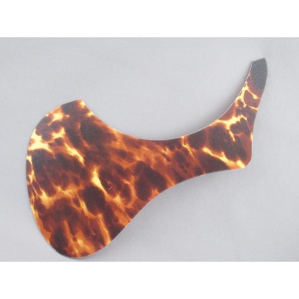 HISTORY(qXg[)TCYsbNK[h