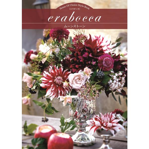 J^OMtg [25000~`25500~R[X]@erabocca@[Xg[