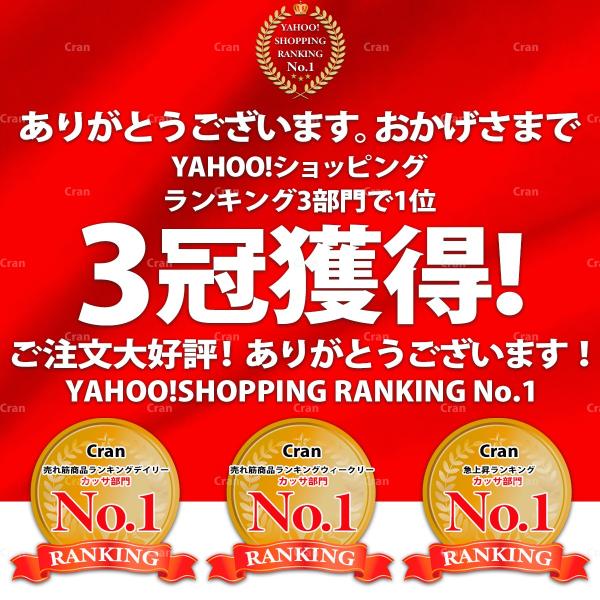 かっさ プレート ポーチ付き マッサージ 美顔器 ふくらはぎ ほうれい線 たるみ リフトアップ 小顔 リンパマッサージ むくみ セルライト カッサプレート 送料無料 Buyee Buyee 日本の通販商品 オークションの代理入札 代理購入