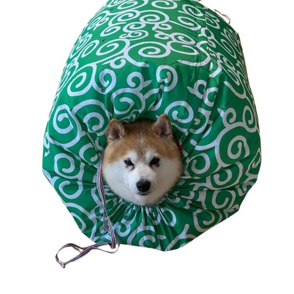 ドライハンバン (L, Karakusa Green)
