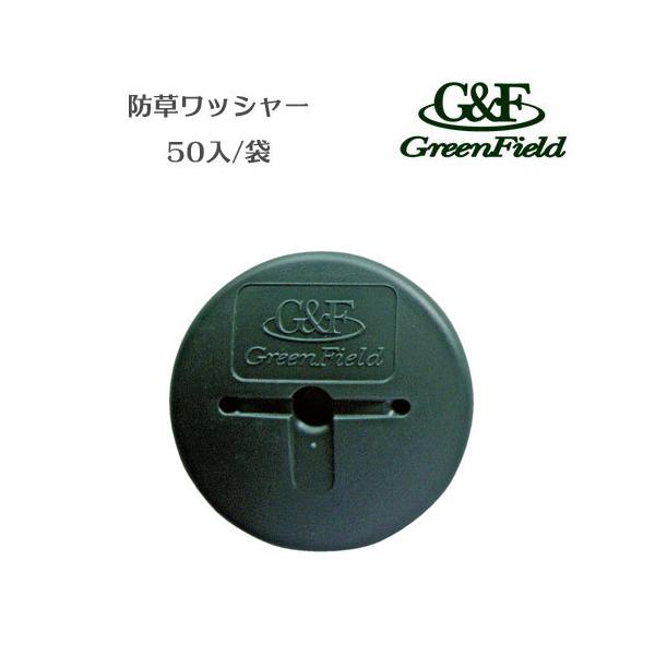 hbV[ O[ WS-GR50 50  hV[g lH iv  O[tB[h