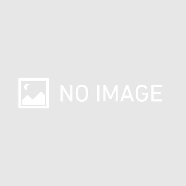 LIXIL INAX 大便器自動洗浄システム オートフラッシュC LIXIL INAX 大便器自動洗浄システム オートフラッシュC