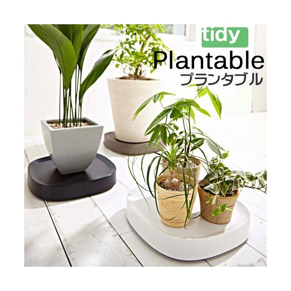 tidy Plantable L@[v^uE[W]@OT-668-101-0/uEOT-668-101-4/zCgOT-668-101-7 ϗtApLX^[t Aؔg[ ړ