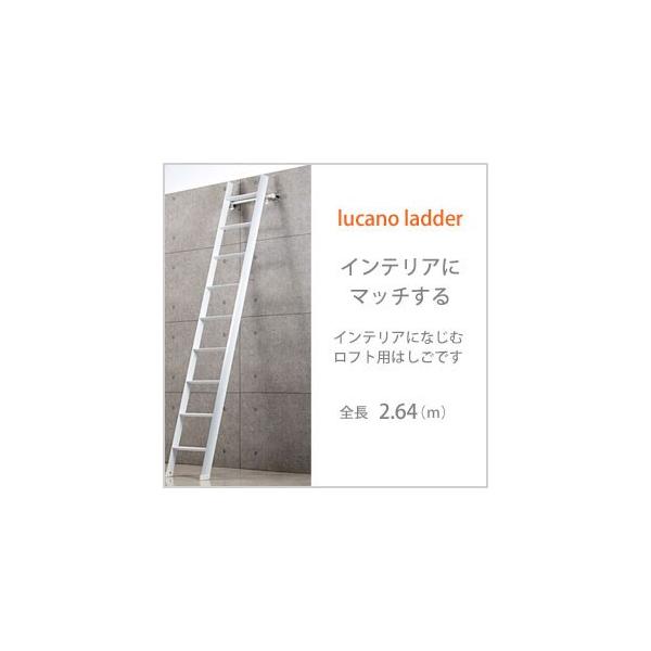 lucano ladder J[m _[ tgp͂  S2.64(m)  zCg LML1.0-26 J[m_[