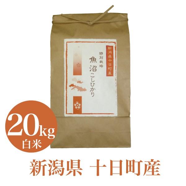 コシヒカリ 米 20kg こしひかり 令和7年産 特別栽培 魚沼 白米 お米