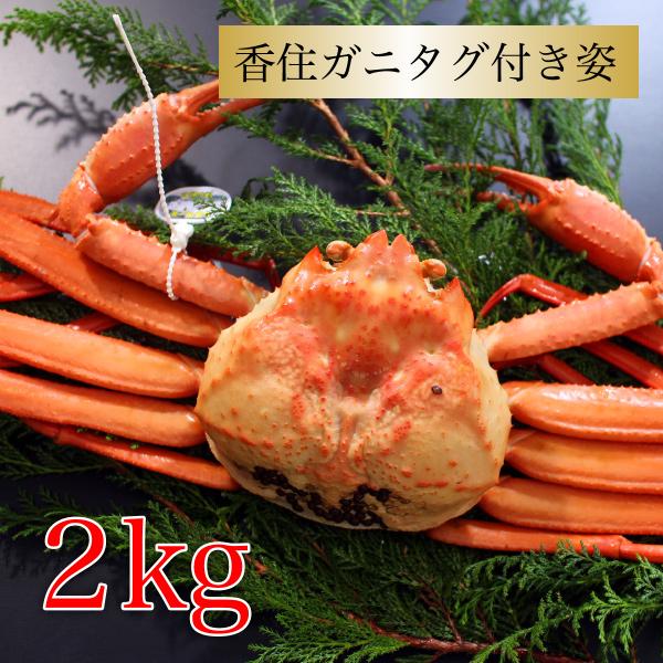 【内容量】約1ｋｇ×2杯　【原材料】紅ズワイガニ【産地】日本／兵庫県香住港　【賞味期限】着日より約3日　商品到着後お早目にお召し上がりください。【保存方法】要冷蔵5℃以下【加工方法】ボイル【発送】ヤマト運輸クール便※水揚げがありしだいのお届...