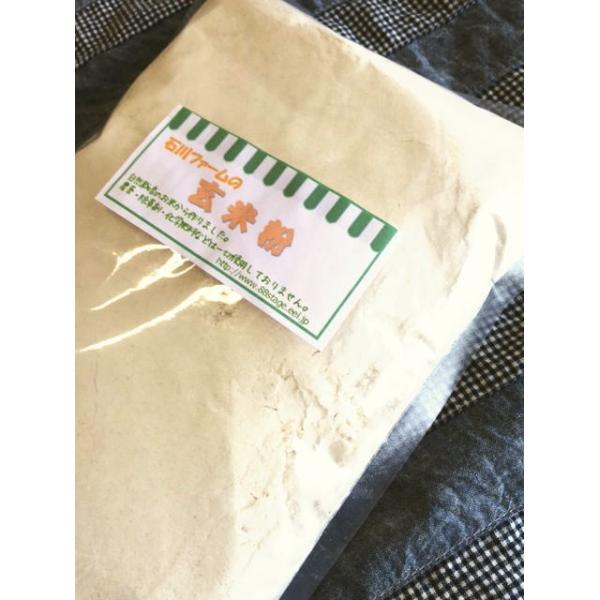 石川ファームでは土作りに10年以上を費やし、生命力ある稲が育つ環境を追求。農薬・除草剤は一切使用せず、田んぼ専用の地下水を利用し、自然の恵みと土中微生物の力により力強く育ったお米からできた米粉です。申し訳ございませんが、価格改定させていただ...