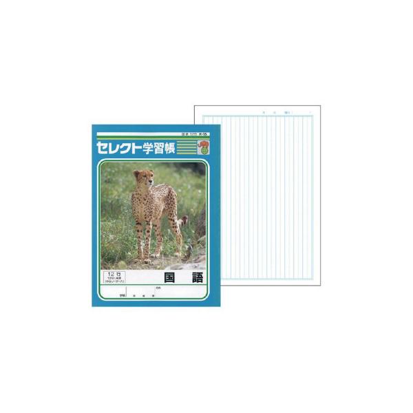 国語 ノートの人気商品 通販 価格比較 価格 Com