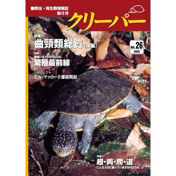 creeperjapan_creeper26