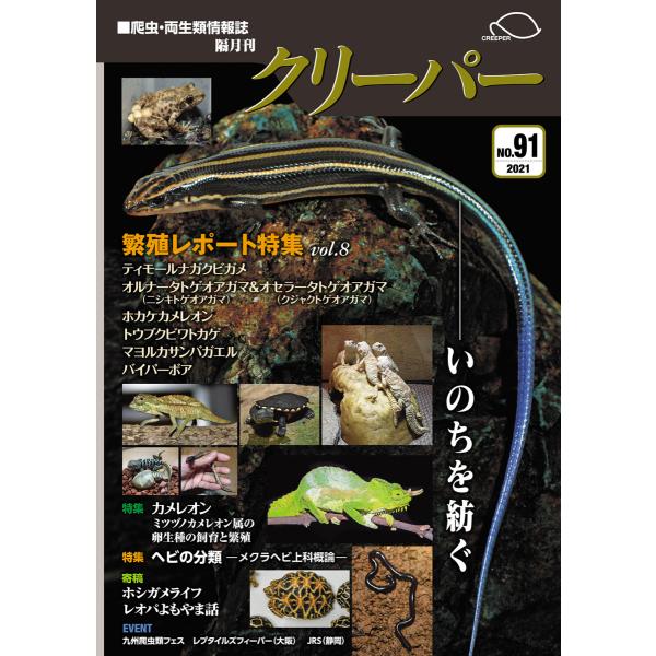 Creeper クリーパー No.19~24 6冊ファイルセット