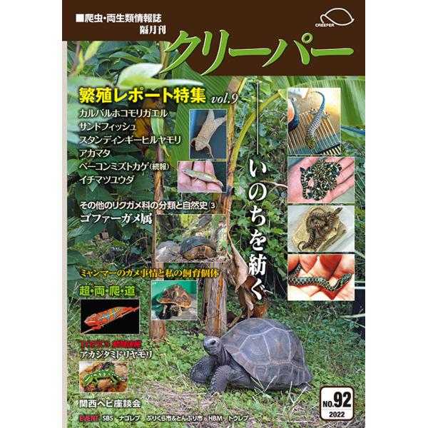 creeperjapan_creeper92