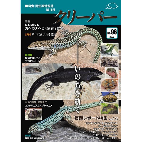 クリーパー96号 : クリーパー社 - 通販 - Yahoo!ショッピング