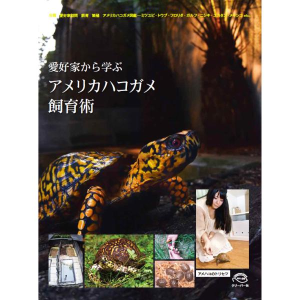 愛好家から学ぶ アメリカハコガメ飼育術 : クリーパー社 - 通販