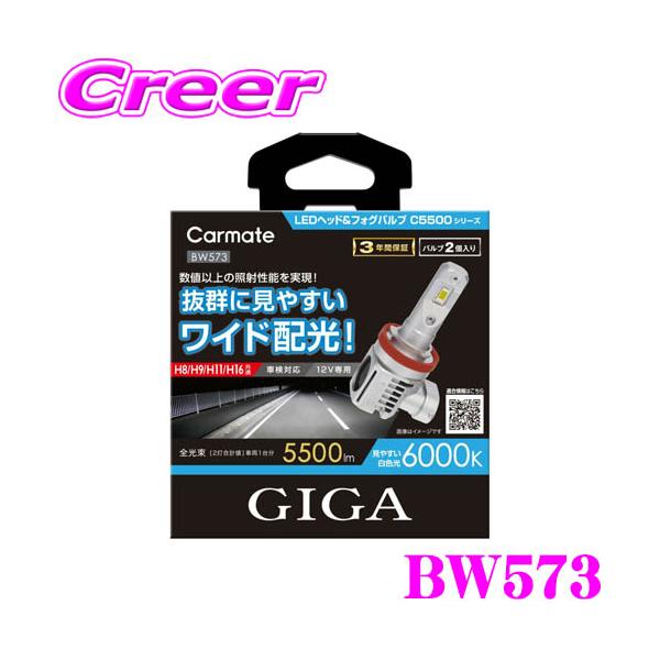 専用　バルク　500g カーメイト BW573 GIGA LEDヘッド&フォグバルブ C5500 シリーズ