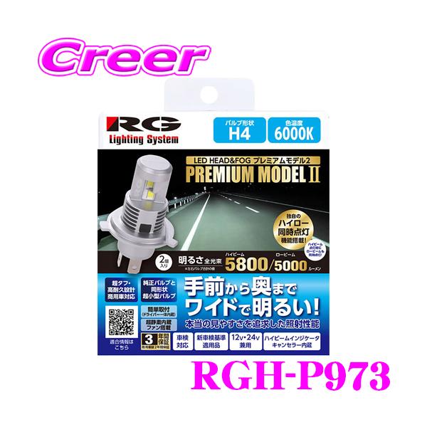 RACING GEAR RG レーシングギア RGH-P973 LED ヘッド＆フォグ