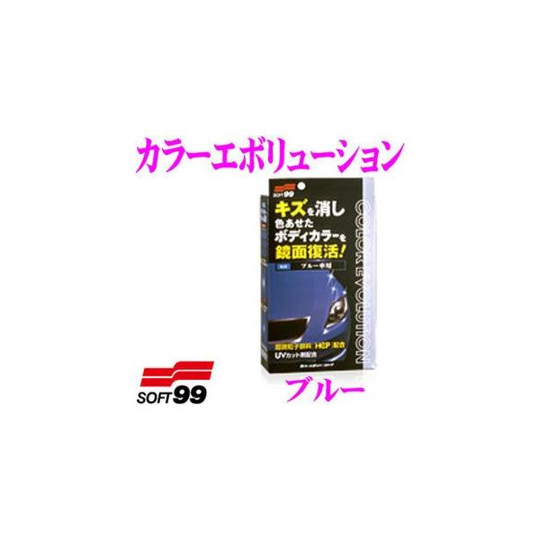 ソフト99 ソフト99 カラーエボリューション 00504 ブルー 100ml (カー