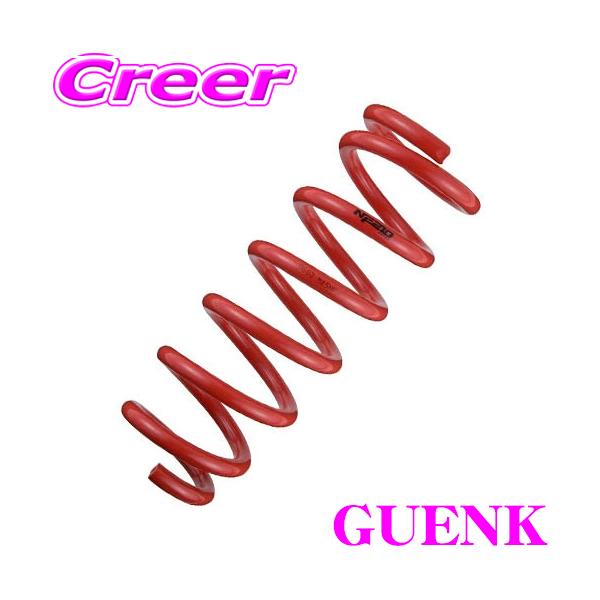 TANABE（タナベ） GUENK SUSTEC NF210 スプリング クロストレック GUE