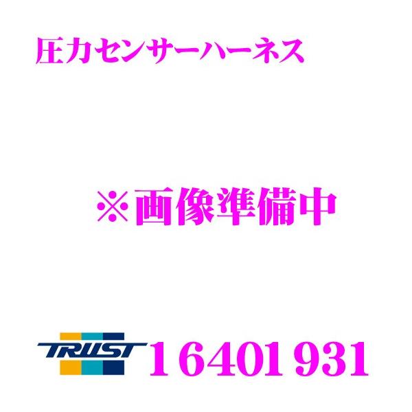 TRUST gXg GReddy 16401931 ̓ZT[n[lX