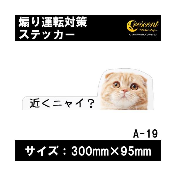 猫イラスト 追突防止 危険運転 対策 ステッカー ドライブレコーダー A-19 妨害運転 煽り rec シール デカール