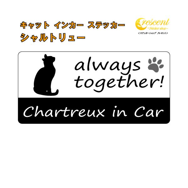 愛猫との楽しいドライブ♪そんな気持ちをステッカーにしました♪可愛いうちの子を少し自慢しちゃいましょう！alwaystogether!いつも一緒！Cat in CarCat on Board英語表記の猫名　in Car英語表記の猫名　on B...