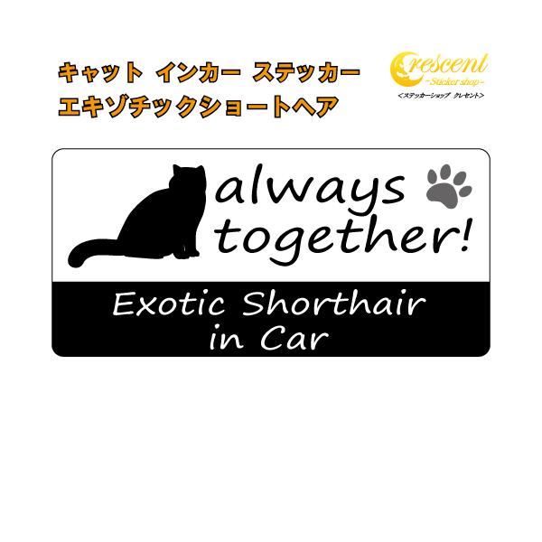 愛猫との楽しいドライブ♪そんな気持ちをステッカーにしました♪可愛いうちの子を少し自慢しちゃいましょう！alwaystogether!いつも一緒！Cat in CarCat on Board英語表記の猫名　in Car英語表記の猫名　on B...
