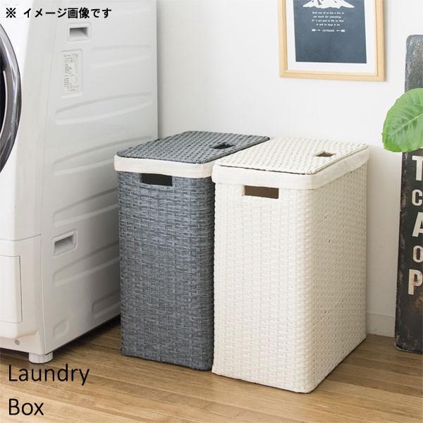 h[{bNX̂ 38cm 50cm y ^ ʋC t^t ȃXy[X X {bNX zCg u[ AC{[  