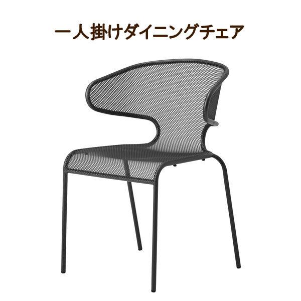 X^bLO`FA 55.5cm i 1l| `[r X`[ CX  ֎q 1lp lp _CjO  _ Vv Ogp@o[xL[