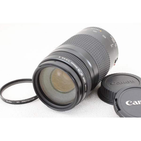 キヤノン Canon EF 75-300mm F4-5.6 II◇望遠ズームレンズ/外観美品