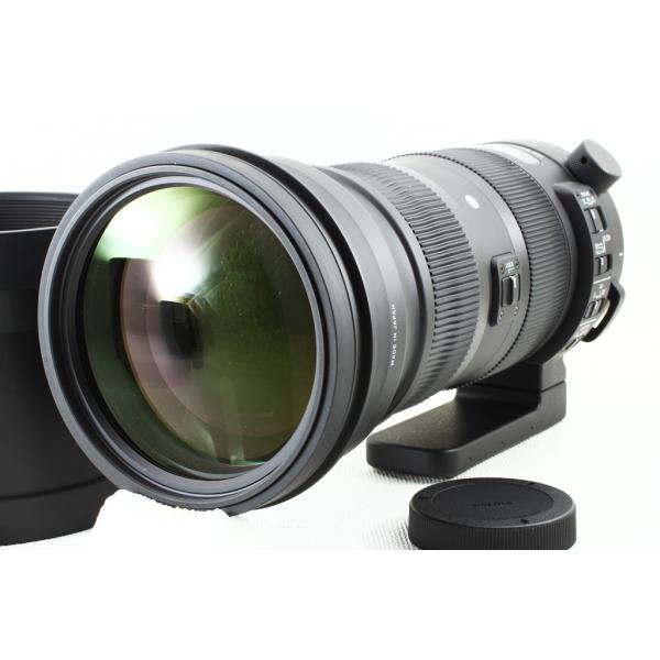 シグマ（SIGMA） 150-600mm F5-6.3 DG OS HSM Sports SA◇超望遠 極上 