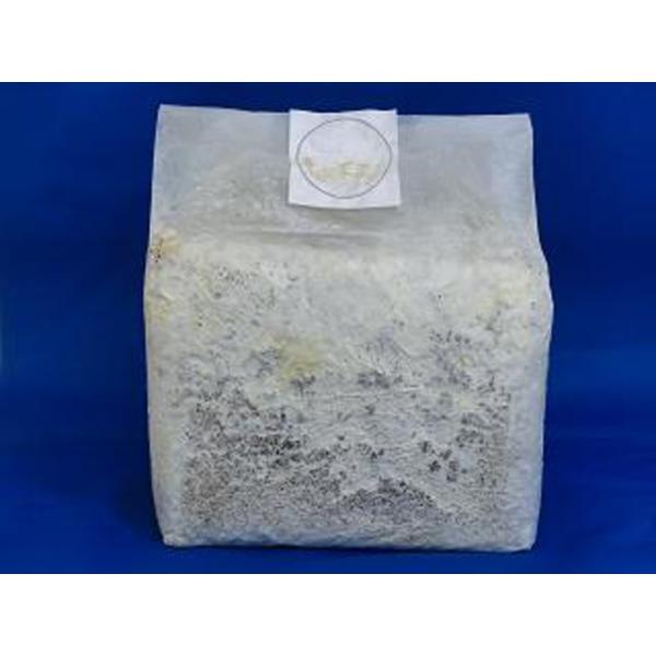 ※夏場の配送はクール便のご利用を推奨致します。通常便をご選択の場合は如何なる理由がありましても対応致しかねますのでご了承ください。お客様よりご注文を頂きご入金を確認後にメーカーから新品を発送致します。メーカーの生産状況により、在庫が無い場合...