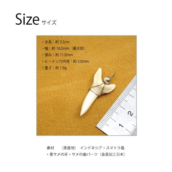 ペンダントトップ サメ 牙 歯 (青サメ) お守り : クリムゾンチェーン