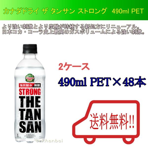 送料無料 カナダドライ ザ タンサン ストロング 490mlpet カナダドライ 炭酸飲料 メーカー直送 2ケース