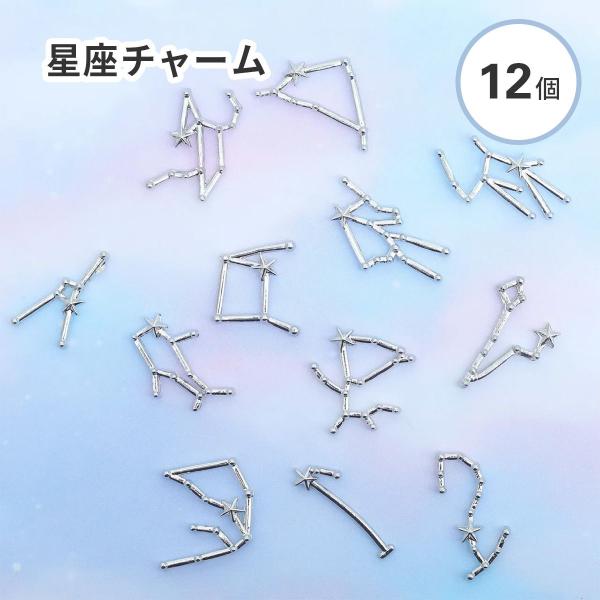 星座 チャーム 12個セット シルバー レジン クラフト 封入素材 メタル