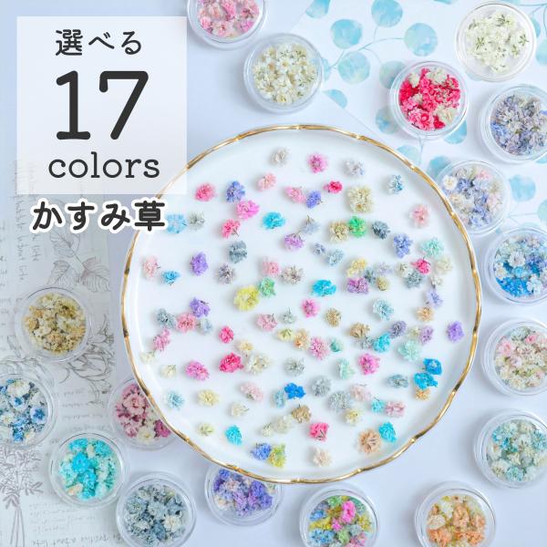 花材】かすみ草 つぼみ ドライフラワー 小分け 17色 レジン封入 お花