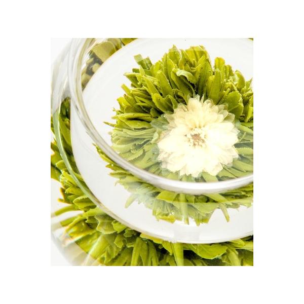 白菊と黄山毛峰の康藝銘茶 12 花芯牡丹 かしんぼたん スノウホワイトペタル 白雪姫 Snow White Petal Buyee Buyee 提供一站式最全面最專業現地yahoo Japan拍賣代bid代拍代購服務 Bot Online