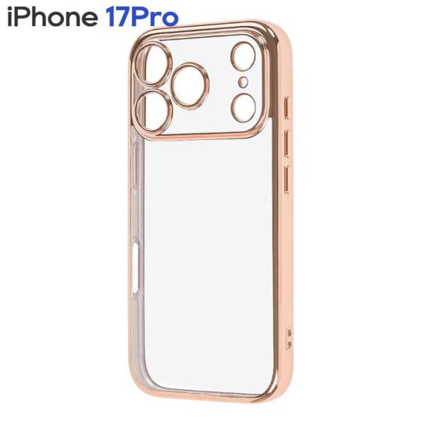 cross-road_rt-p53pfc2-pgm