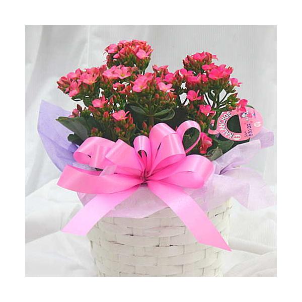 crossrey-style_17-hatiue-73