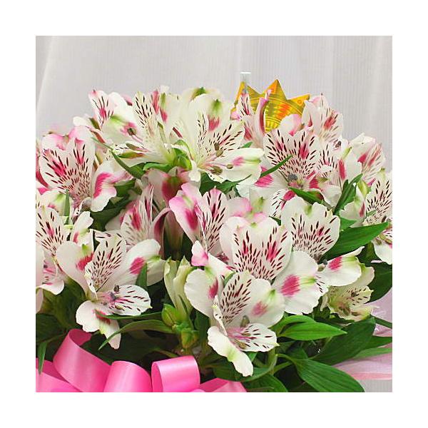 花 アルストロメリア 鉢植え 白紫色系 花付き 籐かご付き 母の日や誕生日プレゼントに長く鑑賞できる花鉢ギフト Buyee Buyee Japanese Proxy Service Buy From Japan Bot Online