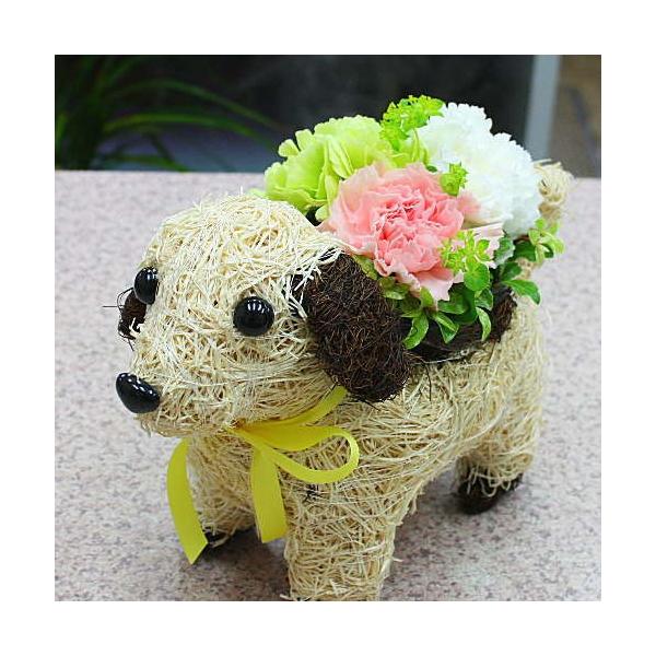 ƉԂ̃t[AWgioXPbgMj O[ñIWii@ ԃMtg