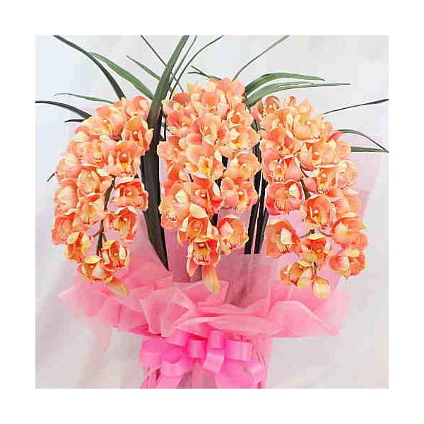 VrW[ 3{A[`^ T[sNF STCYyԁzG}H