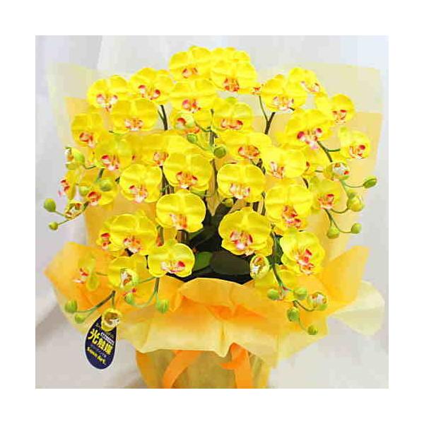 Ӓ ~fBn F 5{ G}HiԁjSTCY