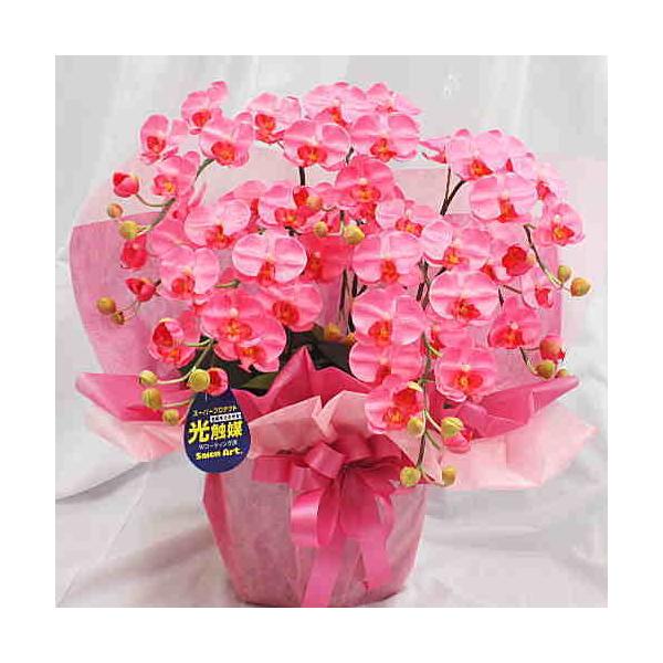 Ӓ ~fBn sNF 5{ G}HiԁjSTCY